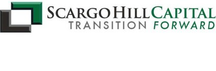 SCARGO HILL CAPITAL TRANSITION FORWARD