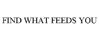 FIND WHAT FEEDS YOU