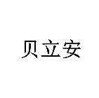 CHINESE CHARACTERS