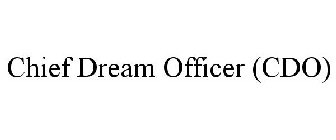 CHIEF DREAM OFFICER (CDO)