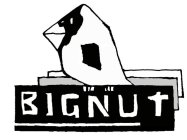 BIGNUT