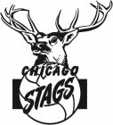 CHICAGO STAGS