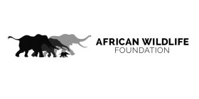 AFRICAN WILDLIFE FOUNDATION