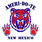 AMERI-DO-TE NEW MEXICO