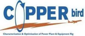 COPPER BIRD CHARACTERISATION & OPTIMISATION OF POWER PLANT & EQUIPMENT RIG