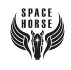 SPACE HORSE