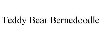 TEDDY BEAR BERNEDOODLE