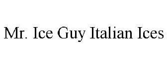 MR. ICE GUY ITALIAN ICES