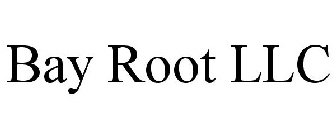 BAY ROOT LLC