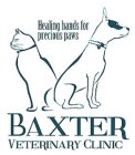 BAXTER VETERINARY CLINIC HEALING HANDS FOR PRECIOUS PAWS
