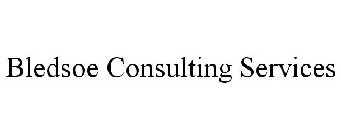 BLEDSOE CONSULTING SERVICES