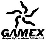 GAMEX GRUPO AGUACATERO MEXICANO