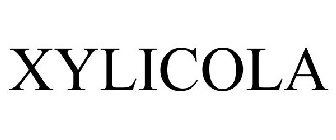 XYLICOLA