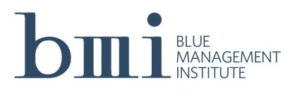 BMI BLUE MANAGEMENT INSTITUTE