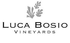 LUCA BOSIO VINEYARDS