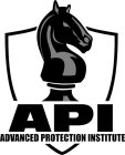 API ADVANCED PROTECTION INSTITUTE