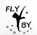 FLY BY