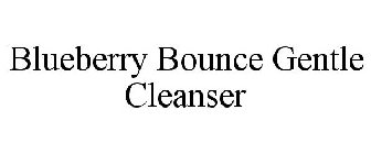 BLUEBERRY BOUNCE GENTLE CLEANSER