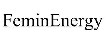 FEMINENERGY
