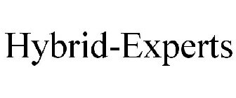 HYBRID-EXPERTS