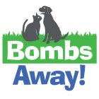 BOMBS AWAY!