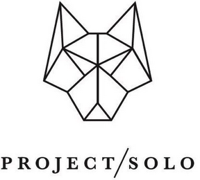 PROJECT/SOLO