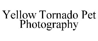 YELLOW TORNADO PET PHOTOGRAPHY
