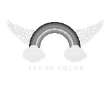 FLY IN COLOR