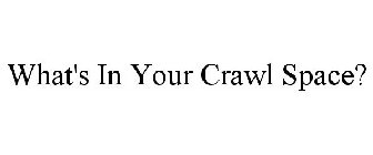 WHAT'S IN YOUR CRAWL SPACE?