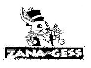 ZANA-GESS