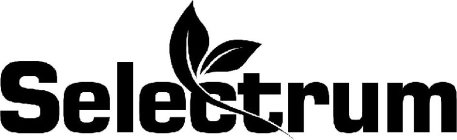 Image for trademark with serial number 87381879