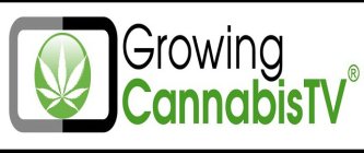 GROWING CANNABISTV