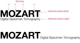 Mozart Digital Specimen Tomography Mozart Digital Specimen