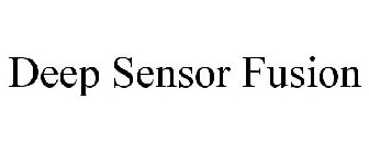 DEEP SENSOR FUSION