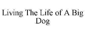 LIVING THE LIFE OF A BIG DOG