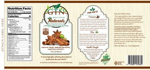 GTN GREAT TASTING NATURALS, CINNAMON SPICED HEALTH DRINK, HEALTHY HEART, IMMUNE BOOSTING, DIGESTIVE SUPPORT 16 FL OZ (480 ML)