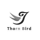THORN BIRD