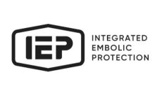 IEP INTEGRATED EMBOLIC PROTECTION