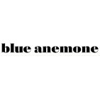 BLUE ANEMONE
