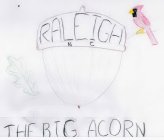RALEIGH NC THE BIG ACORN