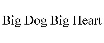 BIG DOG BIG HEART