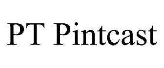 PT PINTCAST