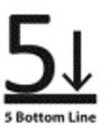 5 BOTTOM LINE