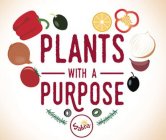 PLANTS WITH A PURPOSE SABRA