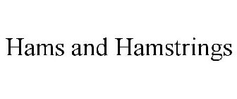HAMS AND HAMSTRINGS