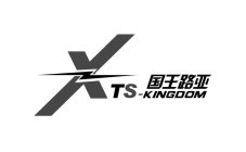 X TS-KINGDOM