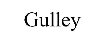 GULLEY