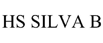 HS SILVA B