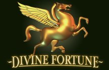 DIVINE FORTUNE