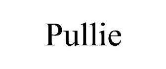 PULLIE